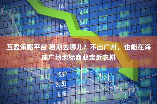 互盈策略平台 暑期去哪儿？不出广州，也能在海珠广场地标商业亲近农耕