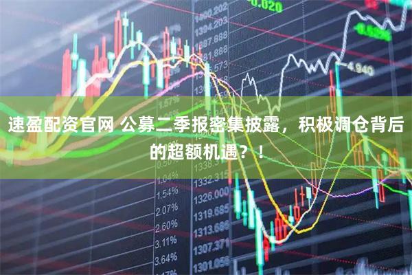 速盈配资官网 公募二季报密集披露，积极调仓背后的超额机遇？！
