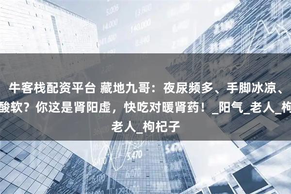 牛客栈配资平台 藏地九哥：夜尿频多、手脚冰凉、腰腿酸软？你这是肾阳虚，快吃对暖肾药！_阳气_老人_枸杞子