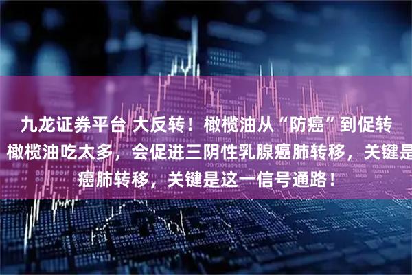 九龙证券平台 大反转！橄榄油从“防癌”到促转移？最新研究：橄榄油吃太多，会促进三阴性乳腺癌肺转移，关键是这一信号通路！