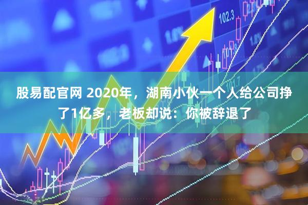 股易配官网 2020年，湖南小伙一个人给公司挣了1亿多，老板却说：你被辞退了