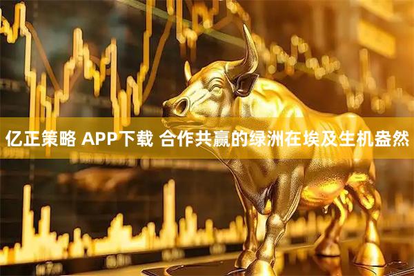 亿正策略 APP下载 合作共赢的绿洲在埃及生机盎然