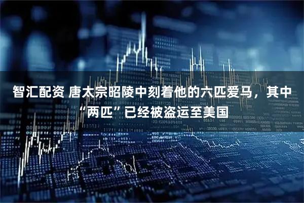 智汇配资 唐太宗昭陵中刻着他的六匹爱马，其中“两匹”已经被盗运至美国